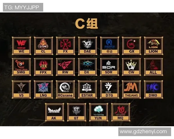 探索WE战队在和平精英中的强大实力与战术魅力